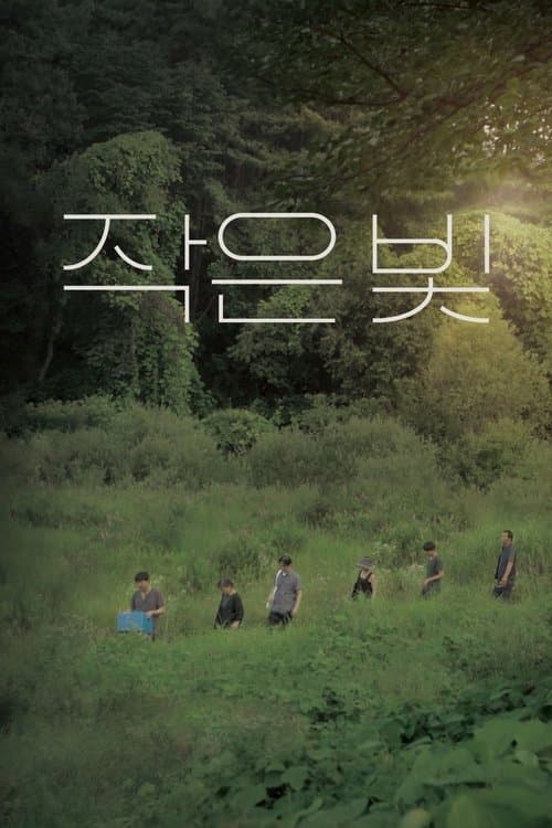 작은 빛のポスター