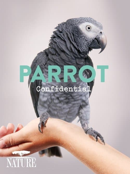 Parrot Confidentialのポスター