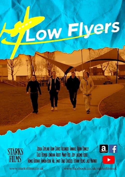 Low Flyersのポスター