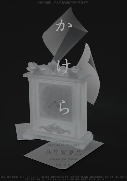 かけらのポスター