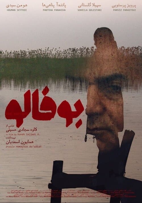 بوفالوのポスター