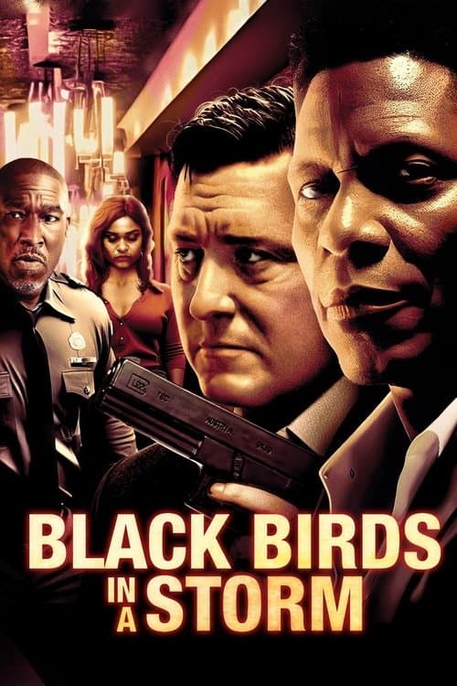 Black Birds in a Stormのポスター