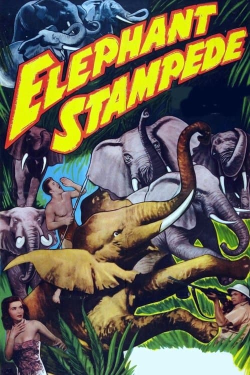 Elephant Stampedeのポスター