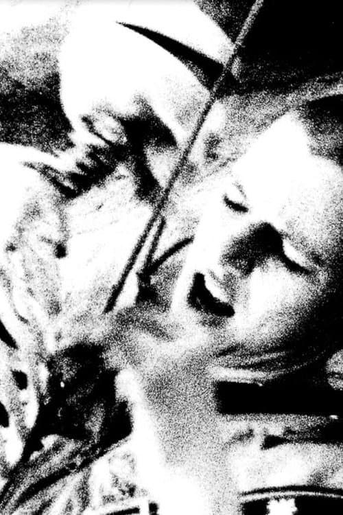 The Abbotess and the Flying Boneのポスター