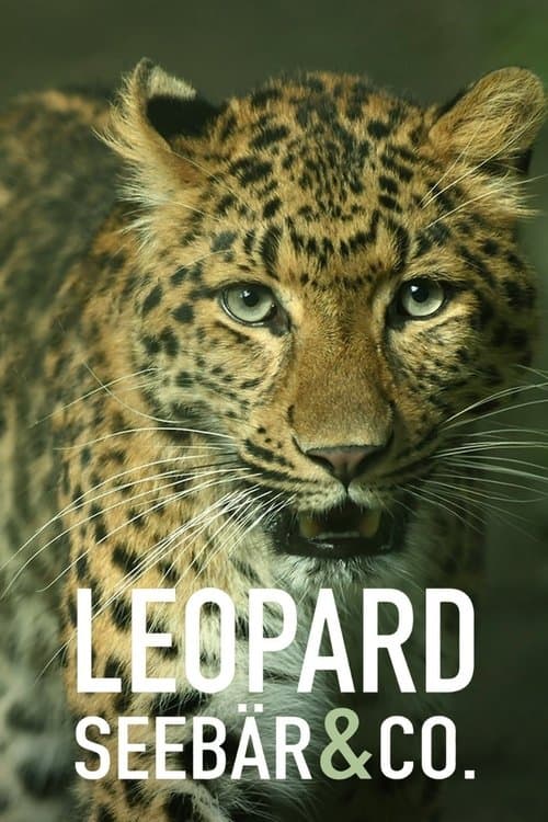 Leopard, Seebär & Co.のポスター