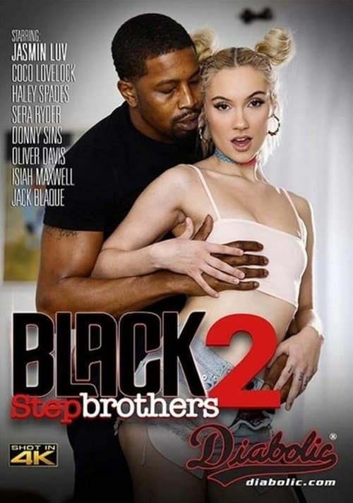 Black Stepbrothers 2のポスター