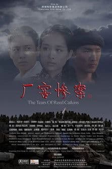 厂窖惨案のポスター