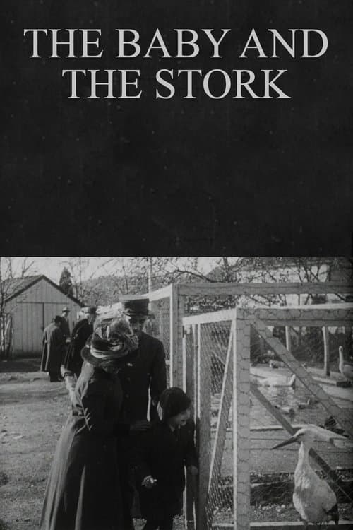 The Baby and the Storkのポスター