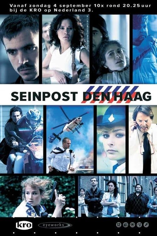 Seinpost Den Haagのポスター