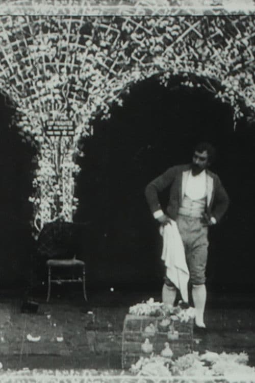 Match de prestidigitationのポスター