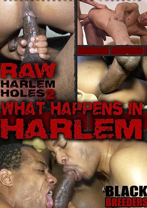 Raw Harlem Holes 2: What Happens in Harlemのポスター