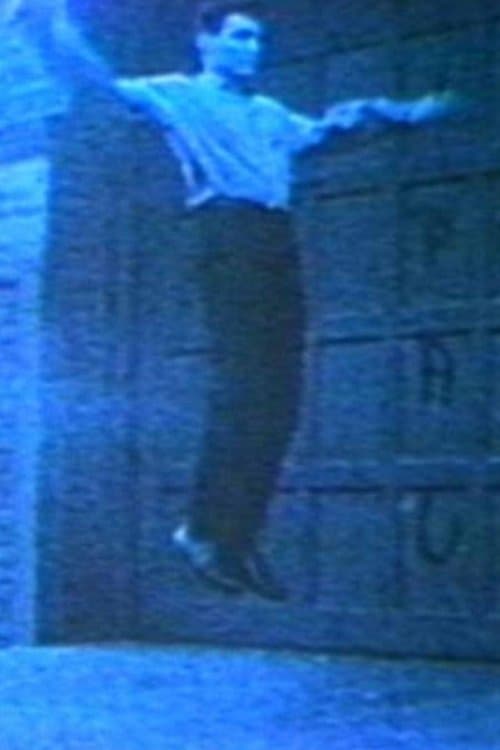 Vincent Gallo as Flying Christのポスター