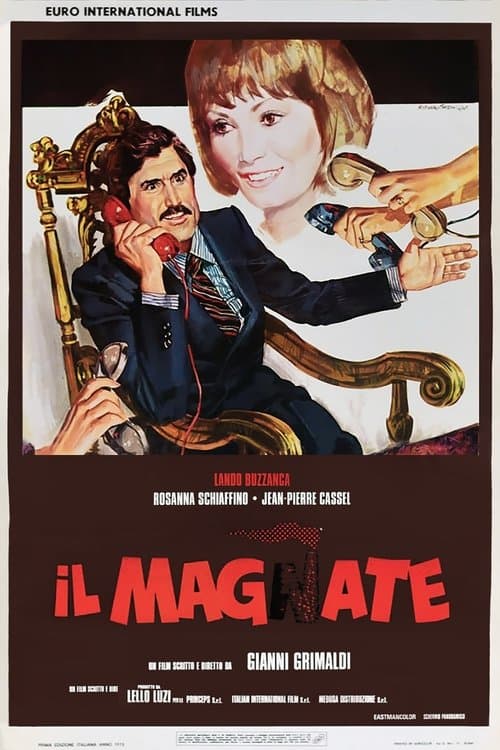 Il magnateのポスター
