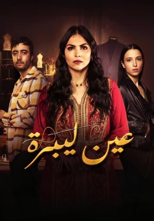 Ain Libraのポスター