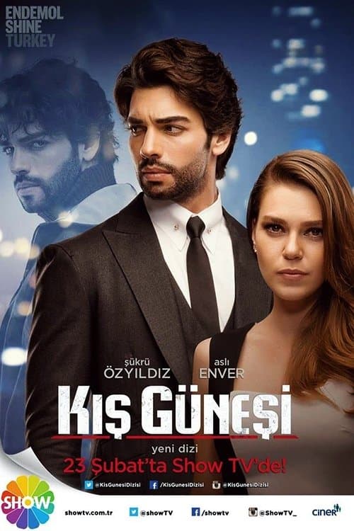 Kış Güneşiのポスター
