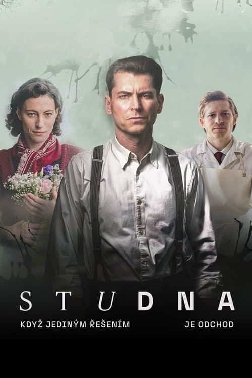 Studnaのポスター