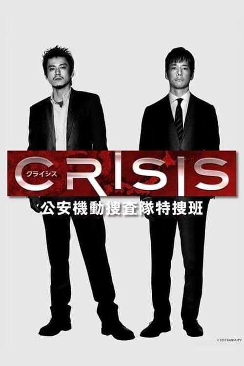 CRISIS 公安機動捜査隊特捜班のポスター