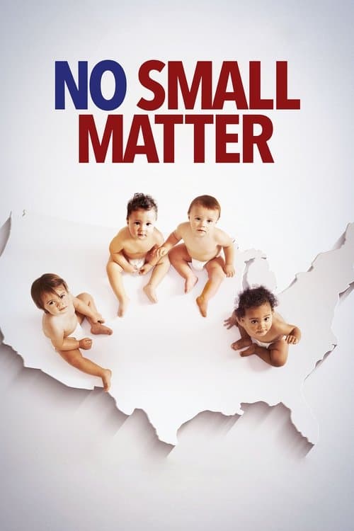No Small Matterのポスター