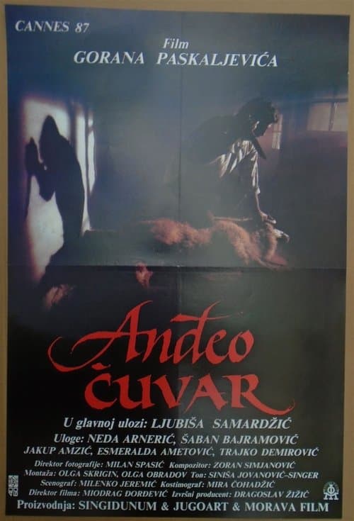 Anđeo čuvarのポスター
