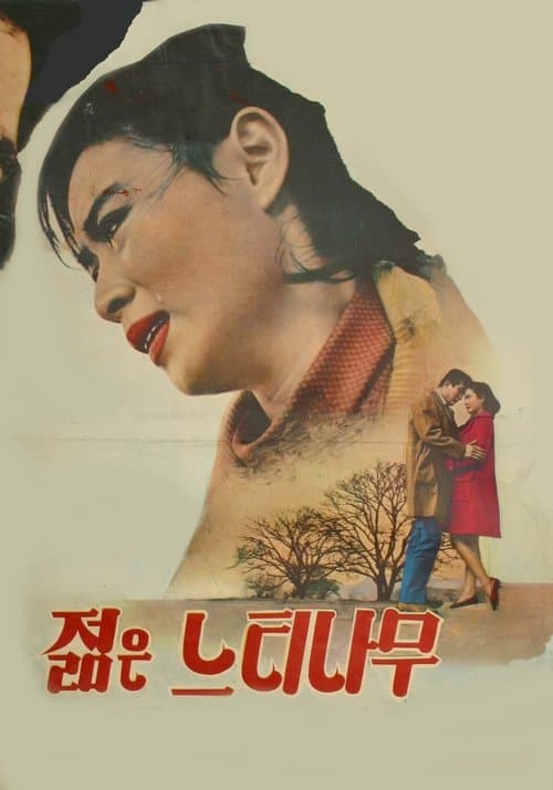젊은 느티나무のポスター