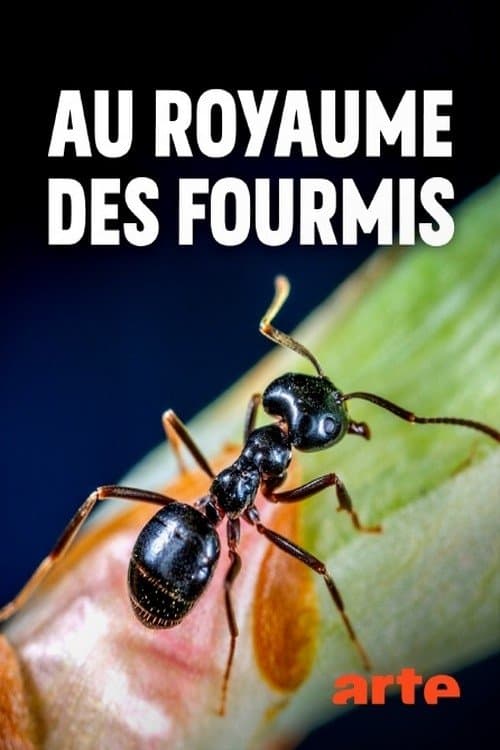 Au royaume des fourmisのポスター