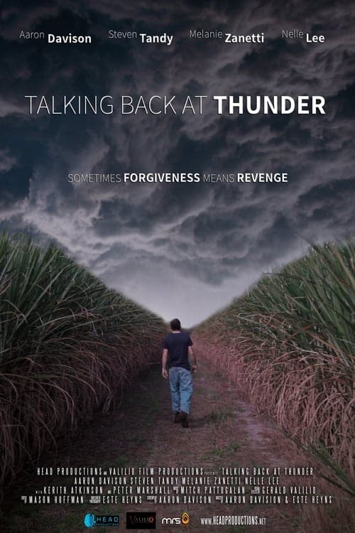 Talking Back at Thunderのポスター