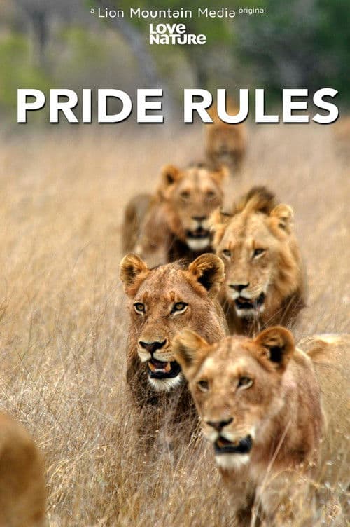 Pride Rulesのポスター