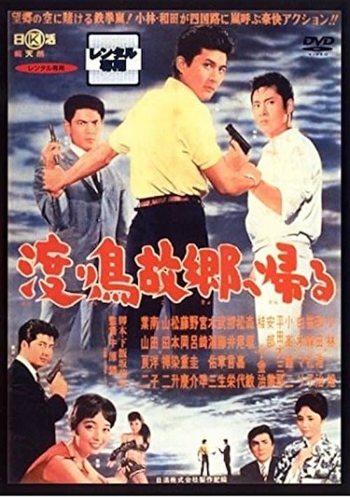 渡り鳥故郷へ帰るのポスター