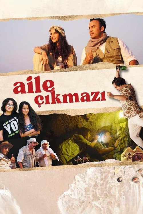 Aile Çıkmazıのポスター