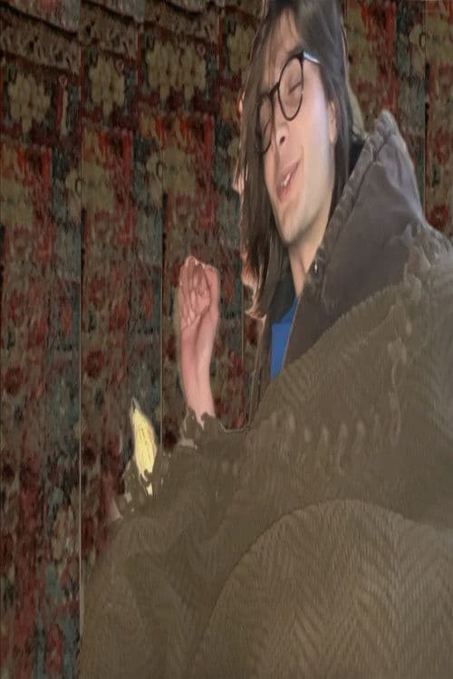 Bird Stomachのポスター