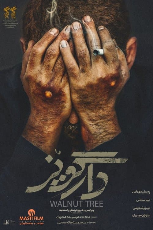 درخت گردوのポスター