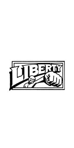 Liberty Horrorのポスター