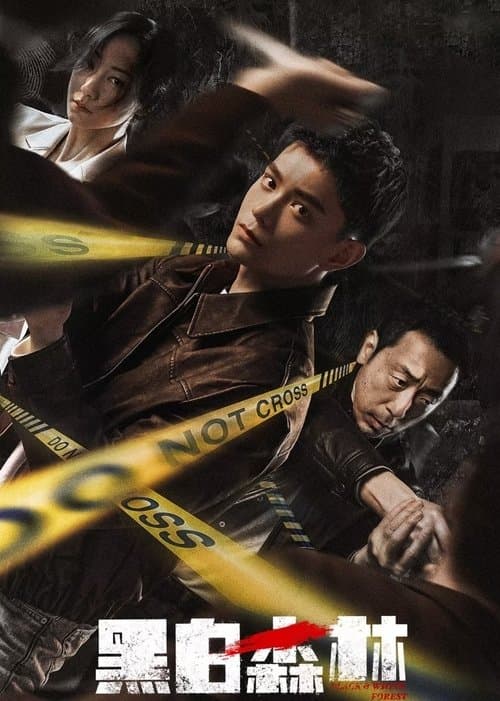 黑白森林のポスター