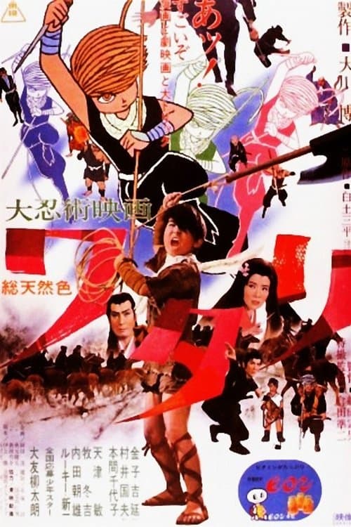 大忍術映画　ワタリのポスター