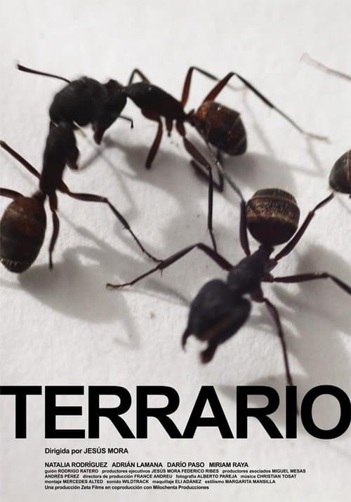Terrarioのポスター