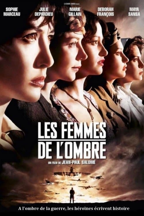 レディ・エージェントのポスター