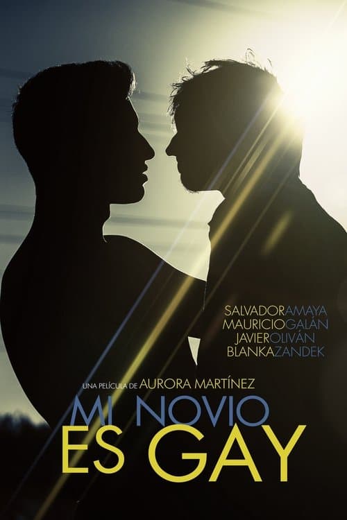 Mi novio es gayのポスター