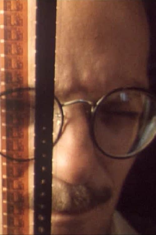 Den perforerade epokenのポスター