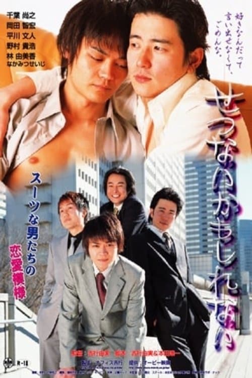 せつないかもしれないのポスター