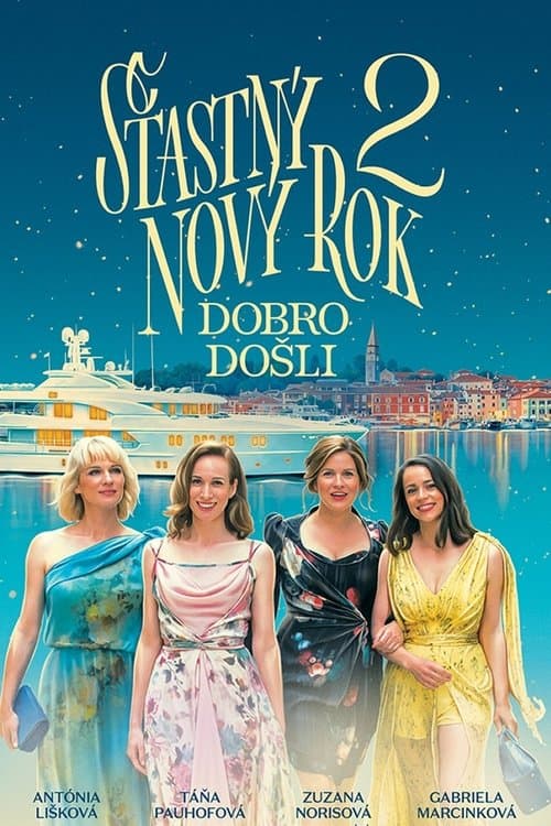 Šťastný nový rok 2: Dobro došliのポスター