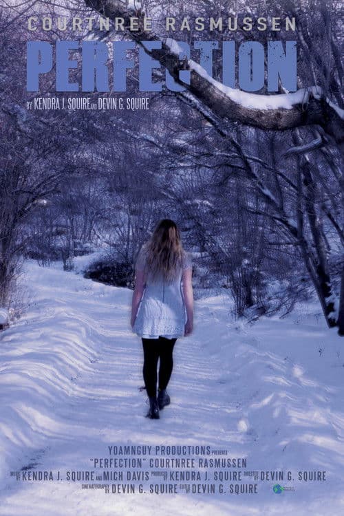 Perfectionのポスター