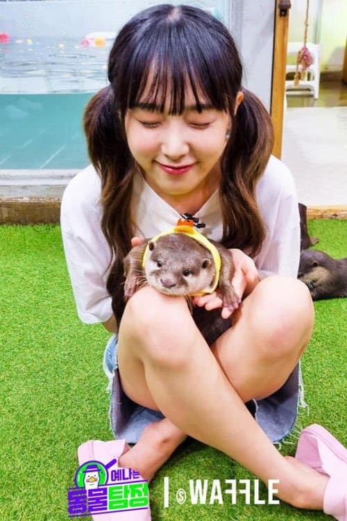 예나는동물탐정のポスター