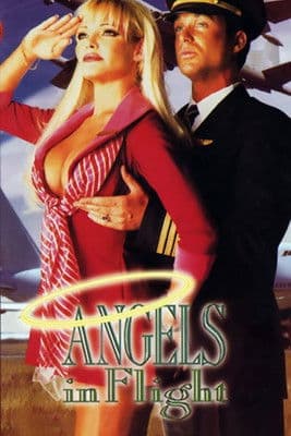 Angels in Flightのポスター