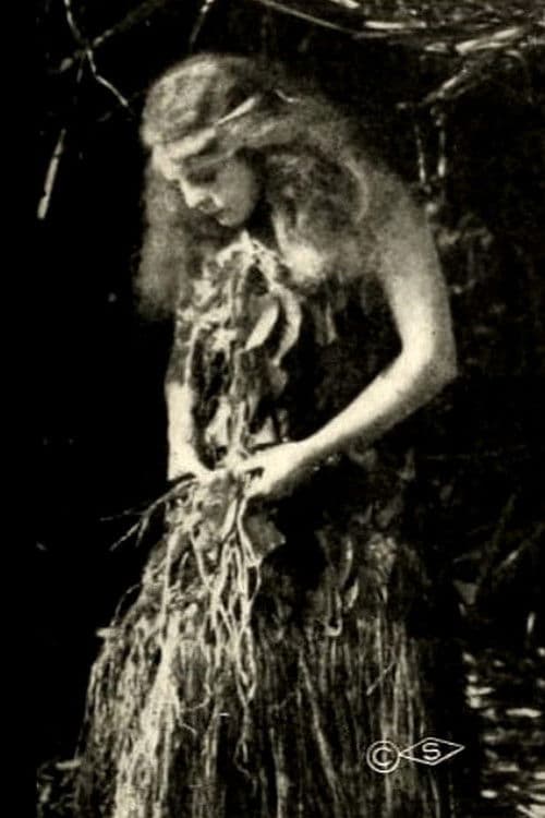 The Royal Slaveのポスター