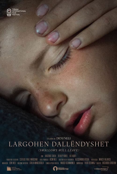 Largohen Dallëndyshetのポスター