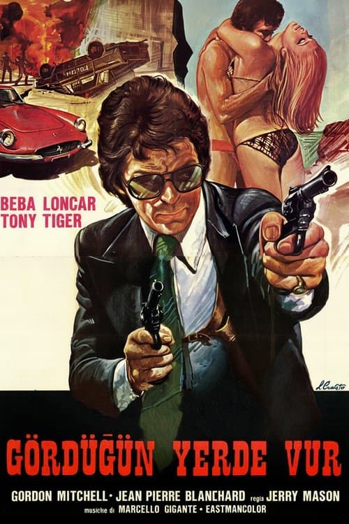 La polizia ordina: Sparate a vistaのポスター