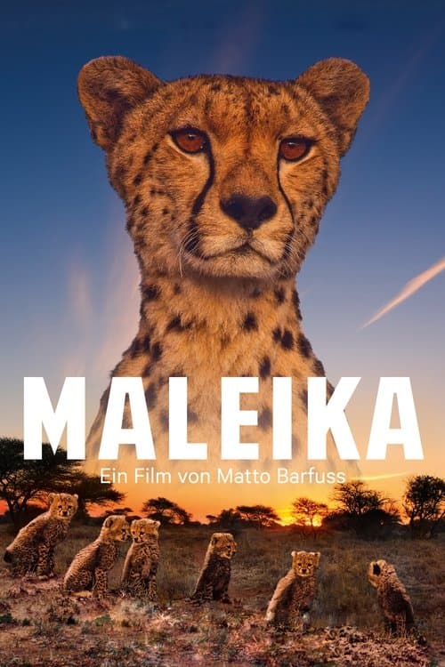 Maleikaのポスター