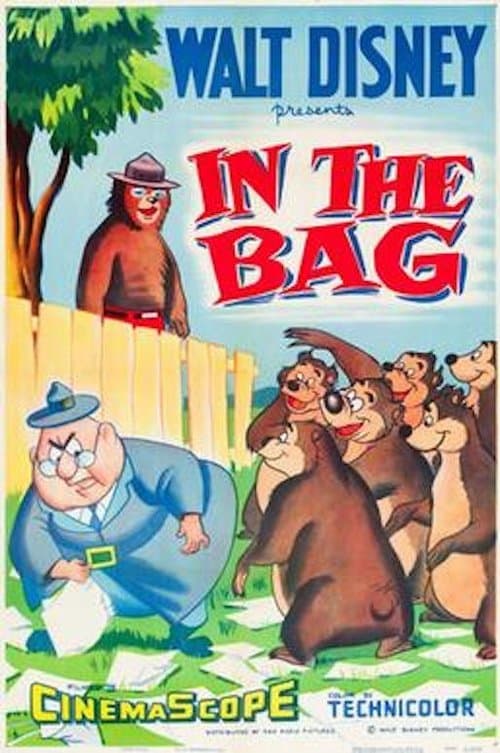 In the Bagのポスター