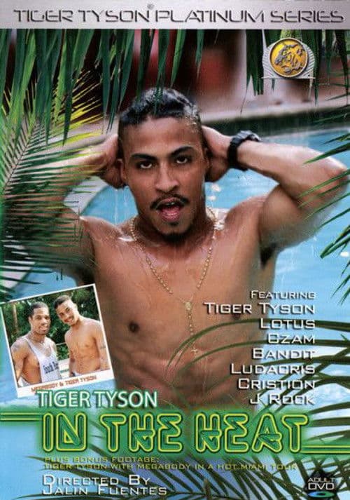 Tiger Tyson: In the Heatのポスター