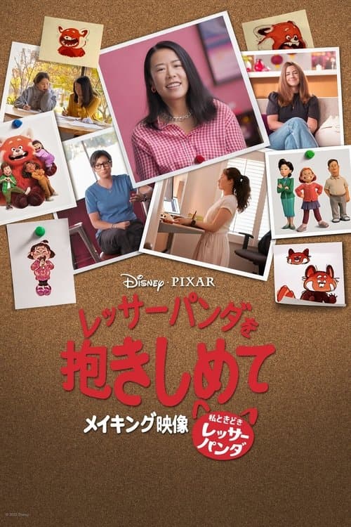 Embrace the Panda: Making Turning Redのポスター